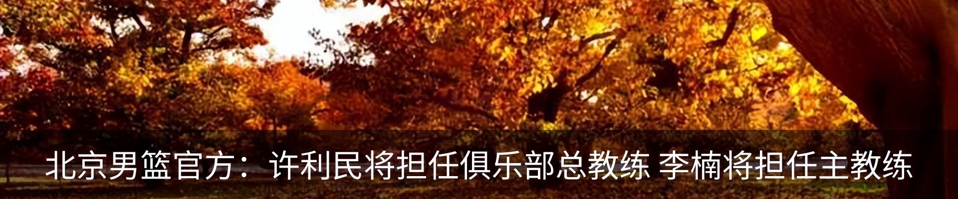 资讯动态